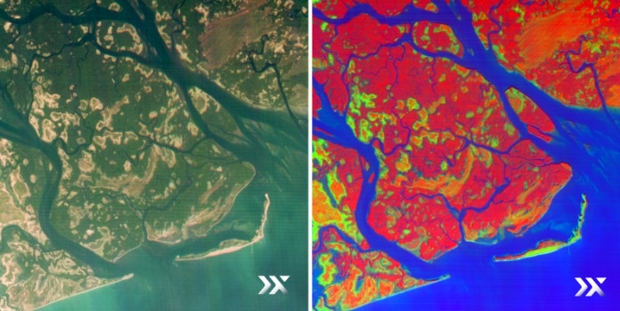 Two side-by-side satellite views of Senegal’s Saloum Delta, one in natural colours and one in vivid reds and blues.